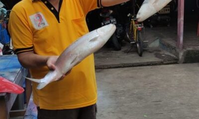 Imlek dan Ikan Bandeng: Simbol Harmonisasi Umat Beragama di Cengkareng