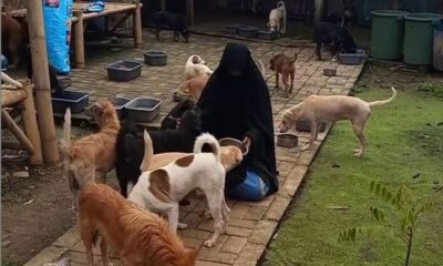 Muslimah Bercadar Pelihara Anjing, Begini Pendapat Muhammadiyah