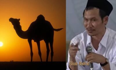 Dabbah Binatang yang Keluar Jelang Kiamat, Ini Pendapat Gus Baha