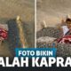 10 Foto Hoaks Ini Sempat Dipercaya Netizen Itu Nyata