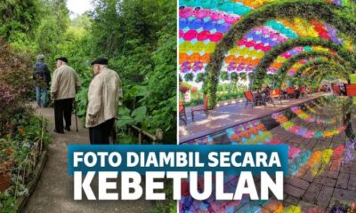 12 Foto Ini Diambil Secara Kebetulan di Momen yang Tepat