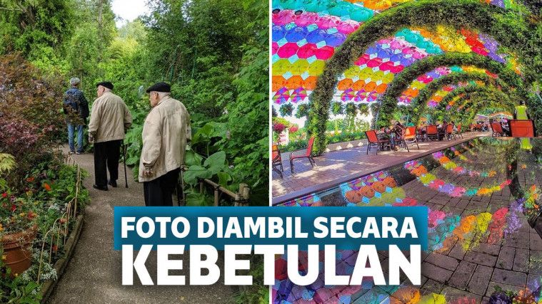 12 Foto Ini Diambil Secara Kebetulan di Momen yang Tepat