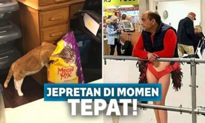 Diambil di Momen yang Tepat, 12 Foto Ini Bikin Gagal Paham!