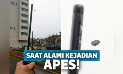 Kocak! 12 Insiden Apes Ini Bisa Membuat Kita Ikut Prihatin