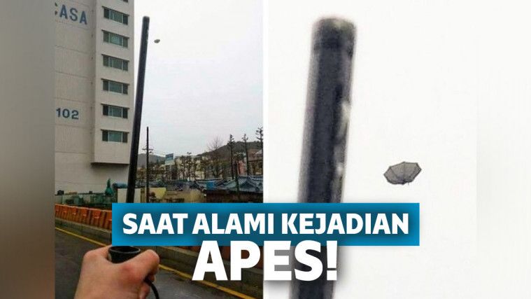 Kocak! 12 Insiden Apes Ini Bisa Membuat Kita Ikut Prihatin