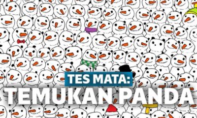 Tes Mata Menemukan Panda