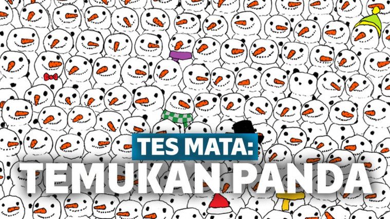 Tes Mata Menemukan Panda