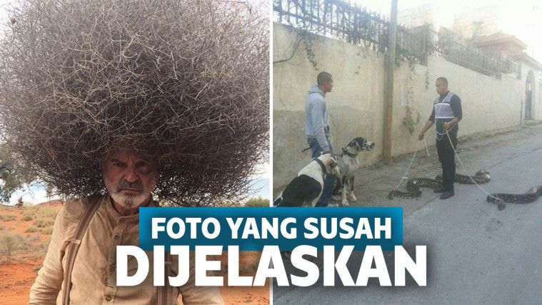 14 Foto Super Aneh Ini Mungkin Diambil dari Planet Lain!