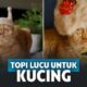 15 Topi Super Kocak yang Bisa Dihadiahkan untuk Kucing Kamu