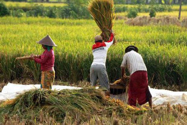 Keutamaan Bekerja Menghindari Kemiskinan