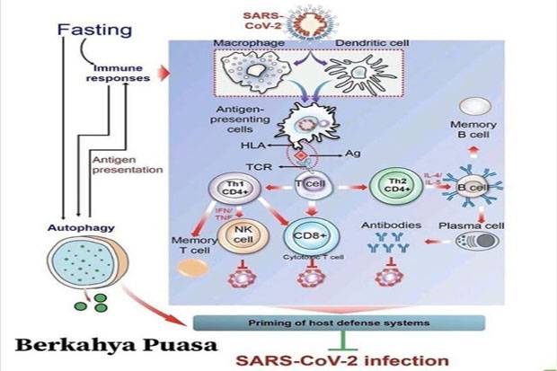 Ini Alasan Puasa Ampuh Melawan Covid