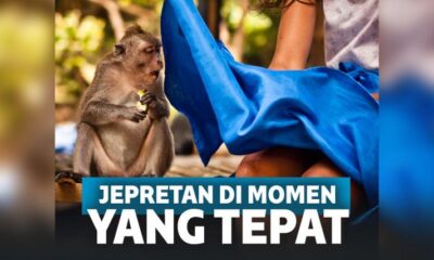 11 Jepretan yang Hanya Bisa Diambil Sekali Seumur Hidup