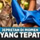 11 Jepretan yang Hanya Bisa Diambil Sekali Seumur Hidup