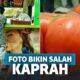 13 Foto Ini Bakal Memancing Kamu Berpikir Kotor