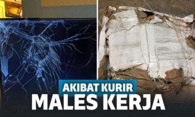 Apes! Inilah Bentuk Pengiriman Terburuk yang Pernah Ada