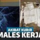 Apes! Inilah Bentuk Pengiriman Terburuk yang Pernah Ada