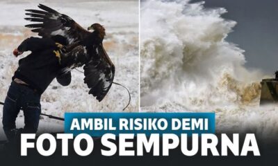 10 Potret Fotografer yang Berani Ambil Risiko Ekstrem