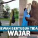 13 Hewan Ini Punya Ukuran Tubuh yang Tidak Wajar