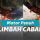 Mobil wanita ini mogok karena cabe. Kok bisa?