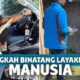 12 Foto Lucu Bukti Binatang Juga Bisa Hidup Layaknya Manusia