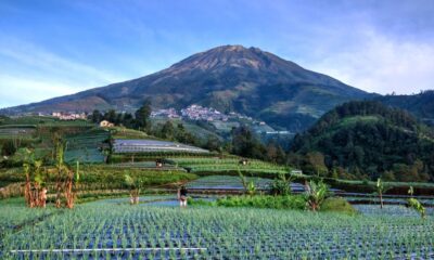 Komit Lestarikan Sawah dan Tanah, Begini Kisah Seorang Juru Foto Lokal Membersamai Masyarakat Lereng Gunung Sumbing