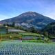 Komit Lestarikan Sawah dan Tanah, Begini Kisah Seorang Juru Foto Lokal Membersamai Masyarakat Lereng Gunung Sumbing