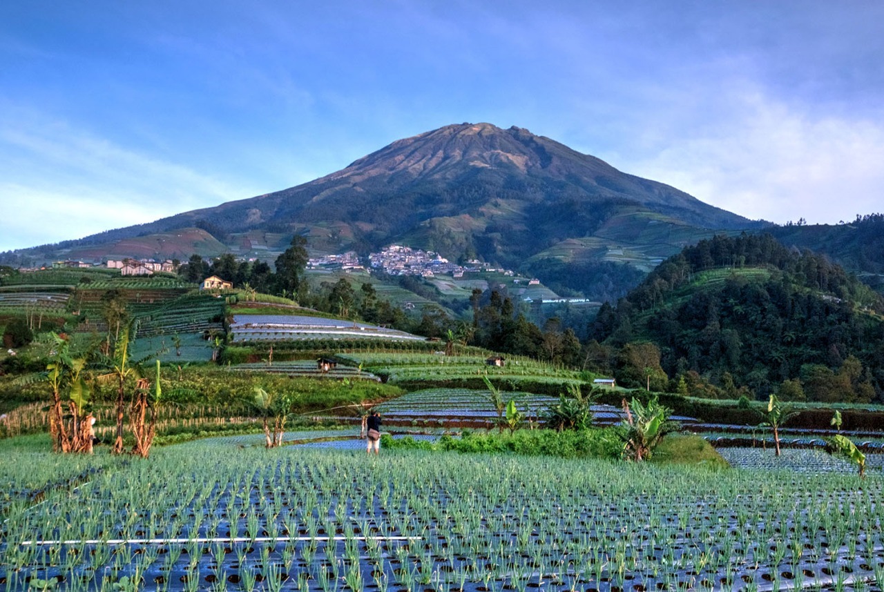 Komit Lestarikan Sawah dan Tanah, Begini Kisah Seorang Juru Foto Lokal Membersamai Masyarakat Lereng Gunung Sumbing