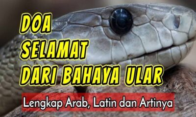 Doa Agar Terhindar dari Binatang Berbisa dan Berbahaya