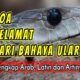 Doa Agar Terhindar dari Binatang Berbisa dan Berbahaya