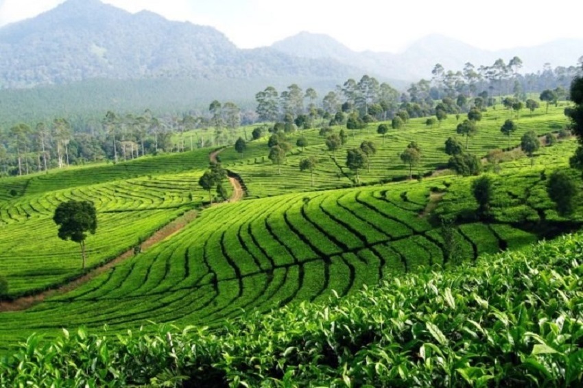 Wisata dalam Pemahaman Ibadah, Begini Penjelasannya