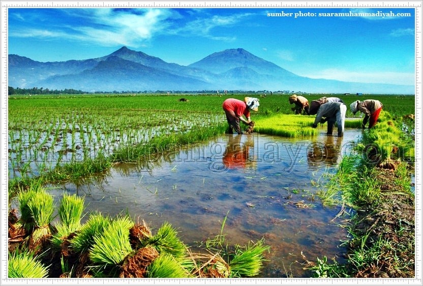 Islam Agraris: Tentang Teologi Para Petani