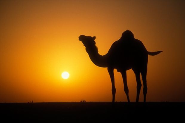 Kisah Kaum Nabi Shaleh dalam Al-Qur’an